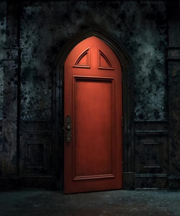 Haunting of Hill House, Mike Flanagan