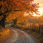 livres à lire pour cet automne