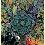 Annihilation, affiche de l'artiste Kilian Eng