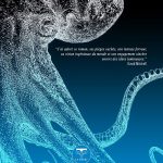 Ray Nyler, la montagne dans la mer